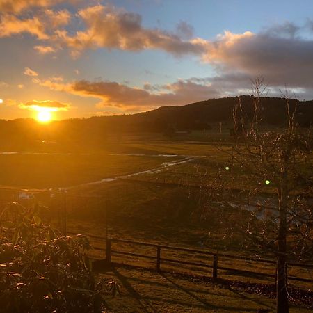 Mole Creek Hideaway Hotel Buitenkant foto