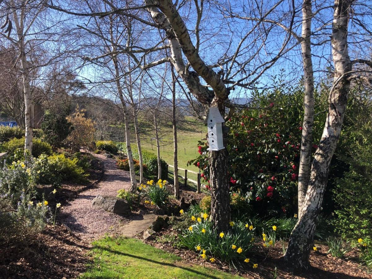 Mole Creek Hideaway Hotel Buitenkant foto