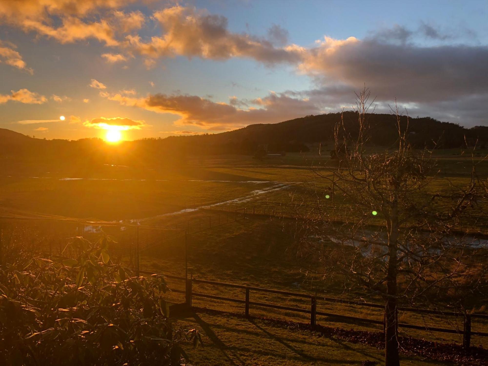 Mole Creek Hideaway Hotel Buitenkant foto