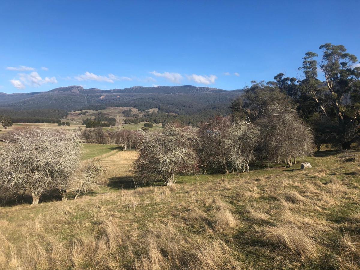 Mole Creek Hideaway Hotel Buitenkant foto