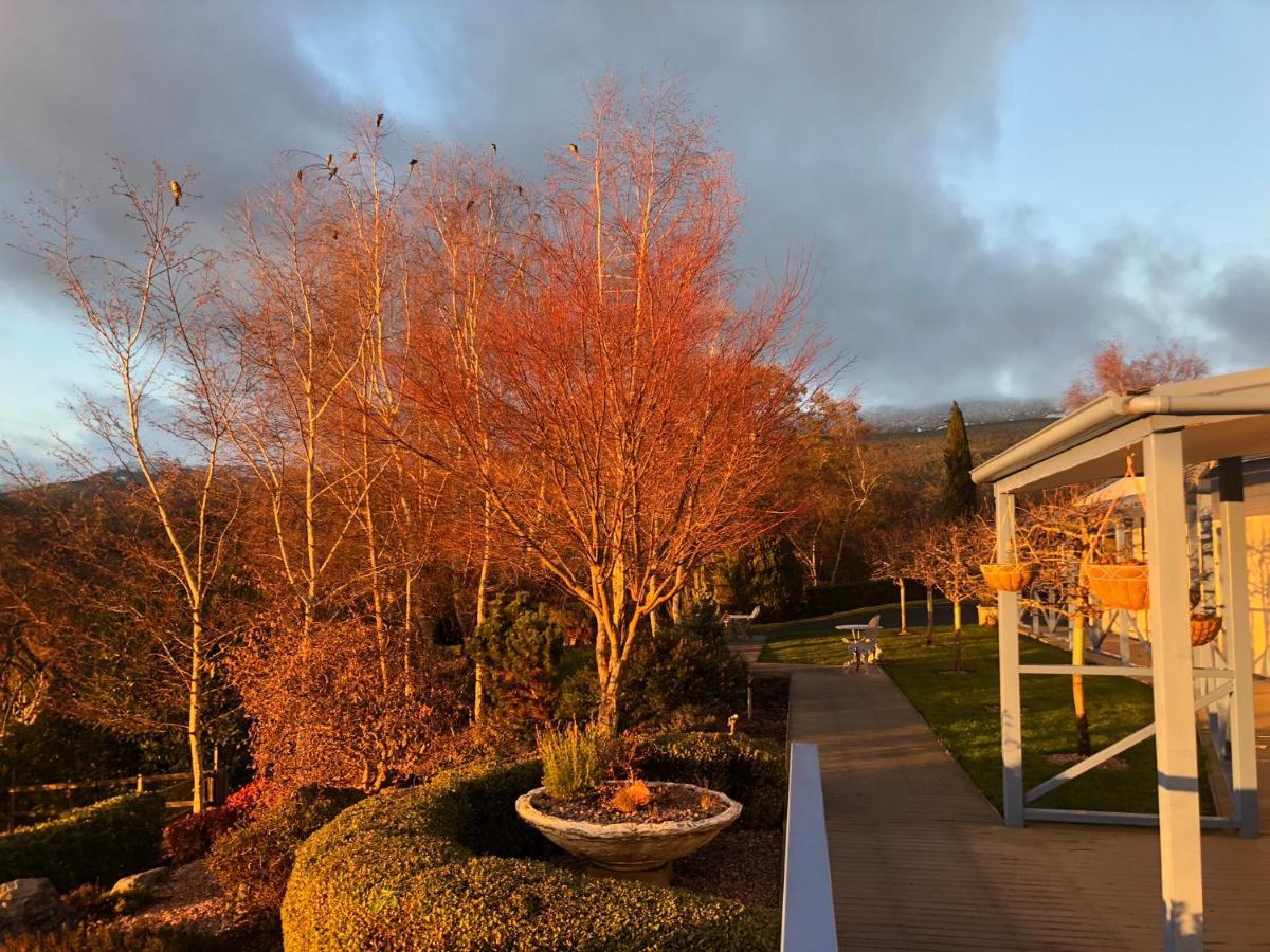 Mole Creek Hideaway Hotel Buitenkant foto