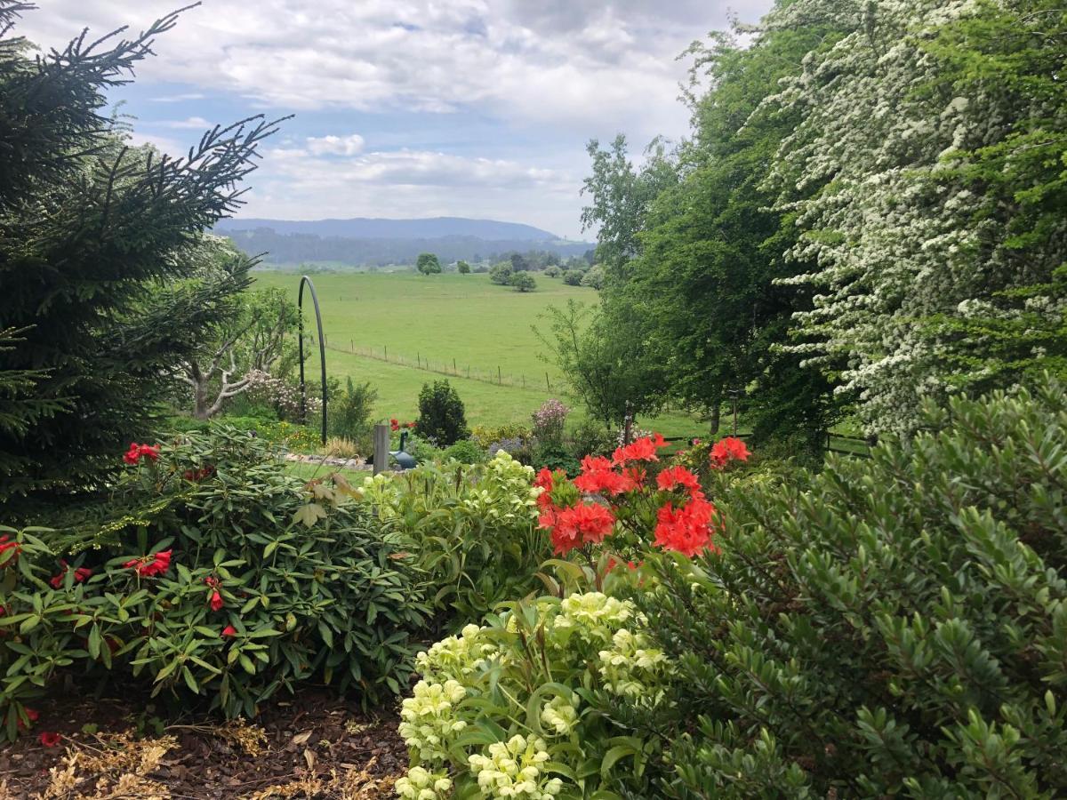Mole Creek Hideaway Hotel Buitenkant foto