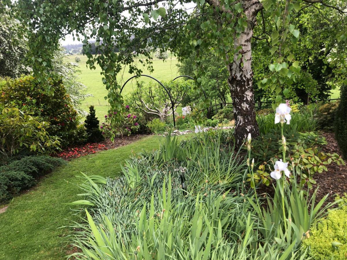 Mole Creek Hideaway Hotel Buitenkant foto