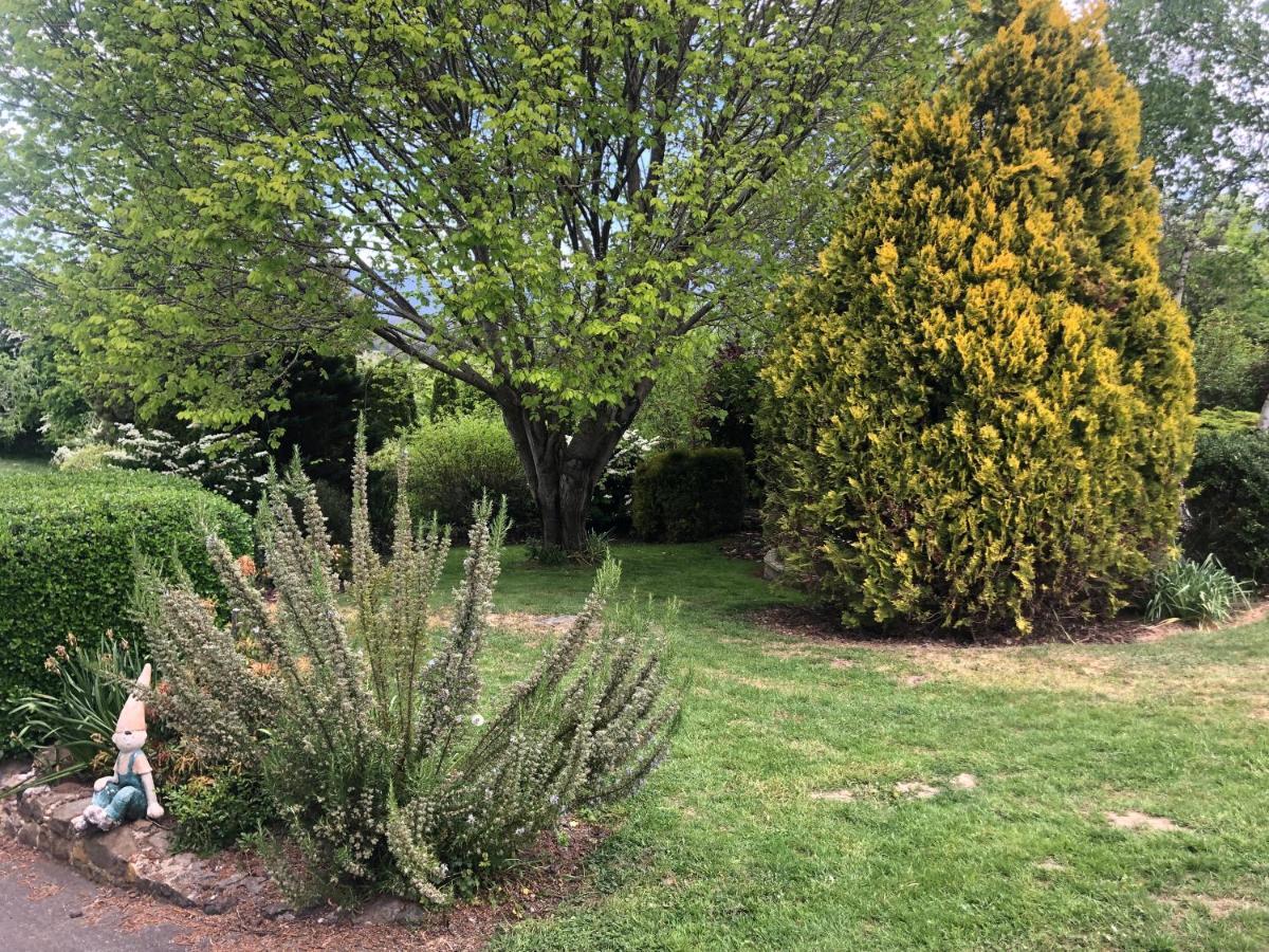 Mole Creek Hideaway Hotel Buitenkant foto