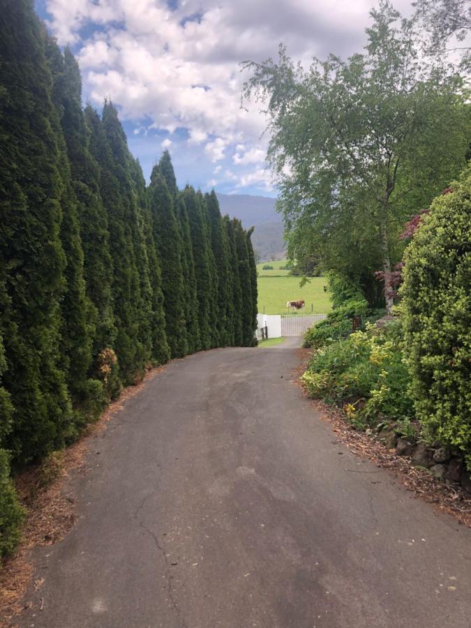 Mole Creek Hideaway Hotel Buitenkant foto