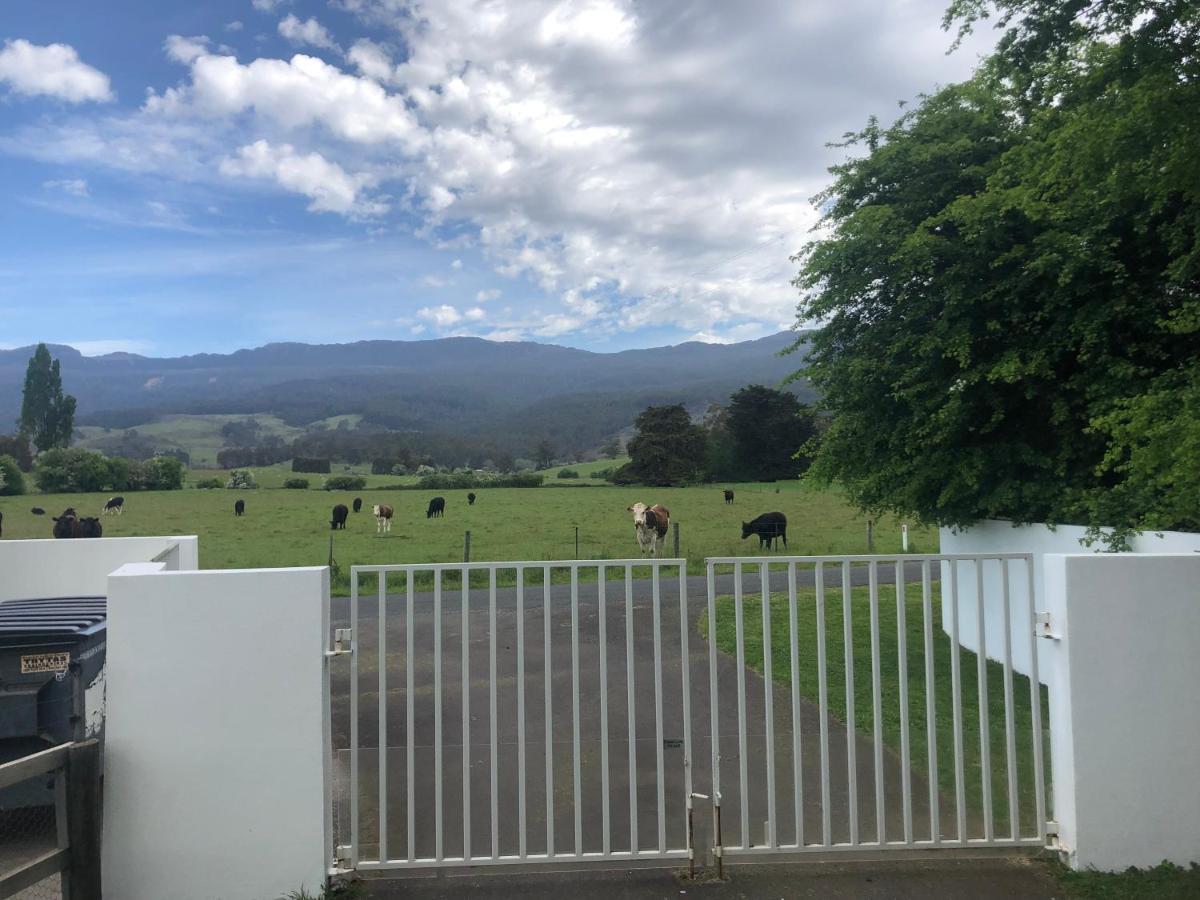 Mole Creek Hideaway Hotel Buitenkant foto